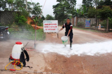 Dịch tả lợn châu Phi lan 10 tỉnh thành, riêng Hà Nội có 4 quận huyện bị mắc