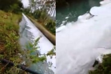 Quảng Nam: Yêu cầu xác minh cá chết do nước kênh thủy lợi ô nhiễm