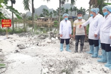 Sóc Trăng, Đồng Tháp xuất hiện dịch tả lợn châu Phi