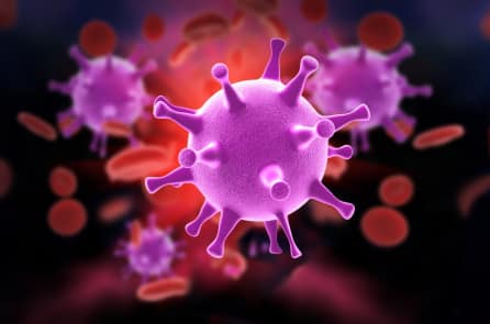 Phát hiện biến chủng HIV mới, người nhiễm có thể chuyển sang AIDS chỉ sau 2-3 năm
