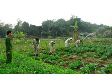 Có nên để phạm nhân lao động ngoài trại giam?