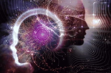 Cặp song sinh Trung Quốc bị chỉnh sửa gen có thể thông minh hơn?