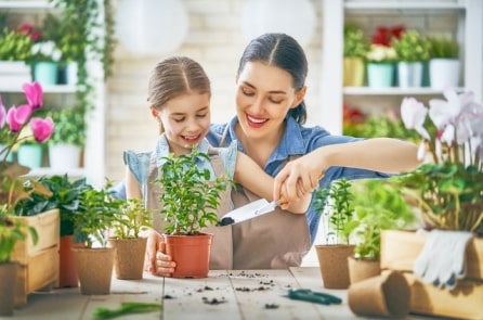 Làm thế nào để tạo một mảnh vườn khi bạn chỉ có 1m2 đất?