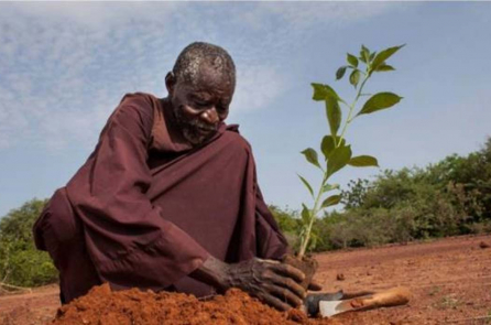Người đàn ông chặn đứng sa mạc bằng phương pháp canh tác cổ đại