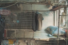 Vấn nạn nhà ở tại Hồng Kông: Người sống trong “lồng”