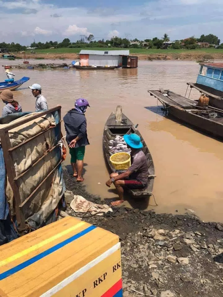  ca chet tren song La Nga