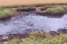 Hải Phòng mất 6,5 tỷ đồng xử lý chất thải độc hại bị đổ trộm ra mương nước