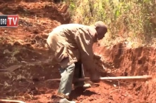 Người đàn ông Kenya đào đường xuyên rừng để dân làng không phải đi xa