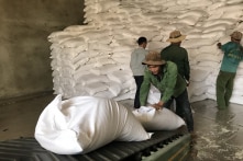 Hơn 1.000 tấn gạo cứu đói cho Đắk Lắk, Thanh Hóa