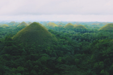 Philippines: Học sinh, sinh viên phải trồng cây xanh mới được tốt nghiệp