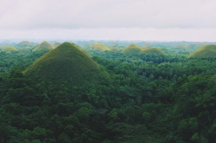Philippines: Học sinh, sinh viên phải trồng cây xanh mới được tốt nghiệp