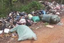 Đồng bằng sông Hồng: Kinh phí hỗ trợ, tiêu hủy lợn dịch lên đến ngàn tỷ đồng