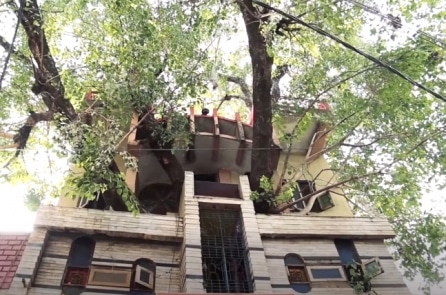 Không chặt cây, gia đình Ấn Độ xây nhà quanh cây bồ đề trăm tuổi