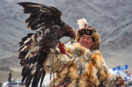 Con chim ưng của Thành Cát Tư Hãn