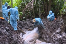 Xử lý đối tượng trục lợi tiền tiêu hủy dịch tả lợn châu Phi