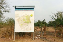 Dự án công viên Sài Gòn Safari gây thất thoát hơn 100 tỷ đồng