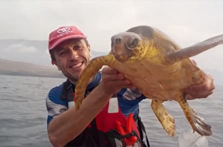 Hai người đàn ông tốt bụng giải cứu rùa biển mắc kẹt trong lưới