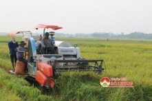 Nhận hàng trăm triệu tiền ‘cảm ơn’, cán bộ bị kỷ luật cảnh cáo