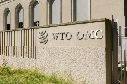 WTO đứng về phía Trung Quốc trong tranh chấp thương mại với Mỹ