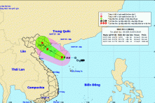 Tin bão khẩn cấp, cơn bão số 2