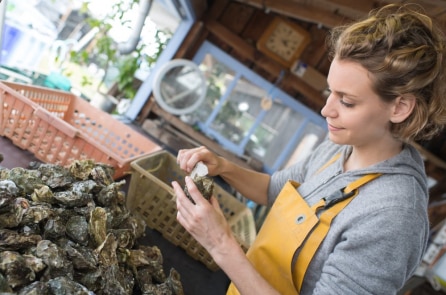 Hàu là các ‘máy lọc nước biển’ nhưng số lượng toàn cầu đã giảm 85%