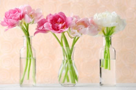 Làm cách nào để giữ hoa đã cắt tươi lâu hơn?
