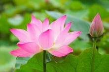 Thiện niệm khiến người ta quảng đại, tư tâm khiến người ta nhỏ nhen
