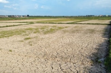 Trên 138.800 hộ dân tại miền Trung có thể thiếu nước sinh hoạt