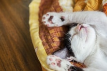 Làm sao để bắt tay vào việc trong khi bạn chẳng hề muốn?