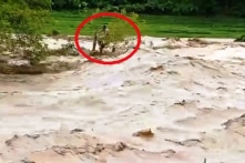 5 người chết, 14 người mất tích do bão số 3