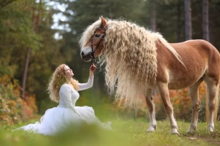 Ngắm chú ngựa đẹp như cổ tích nổi tiếng thế giới