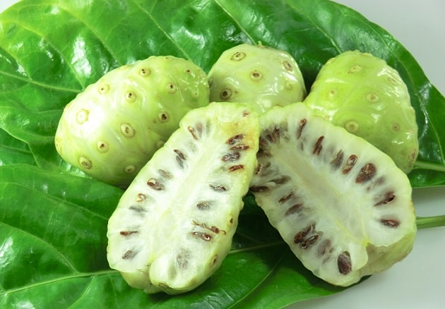 quả mọng, quả Noni, Noni berry