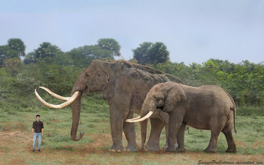 steppe mammoth by sameerprehistorica