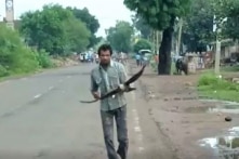 Người đàn ông Ấn Độ suốt 3 năm bị quạ “báo thù”