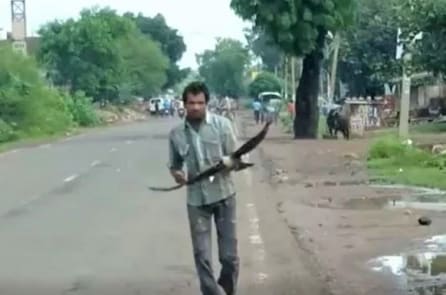 Người đàn ông Ấn Độ suốt 3 năm bị quạ “báo thù”