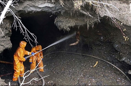 Nghĩa địa voi ma-mút 50.000 tuổi quý giá bị thợ săn ngà voi phá hoại