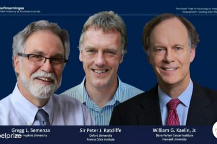 Giải Nobel Y học 2019 vinh danh 3 nhà khoa học người  Anh, Mỹ