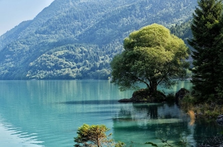 Ngắm hồ nước trong vắt nhìn thấy cả đáy ở New Zealand