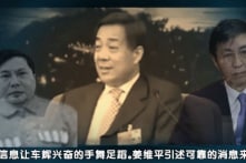 Vương Hỗ Ninh liệu có giúp Bạc Hy Lai lật lại án?