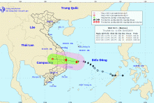 Tin bão khẩn cấp, cơn bão số 5