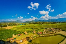 Trị bệnh bằng phương pháp canh tác hữu cơ