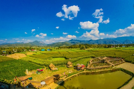 Trị bệnh bằng phương pháp canh tác hữu cơ