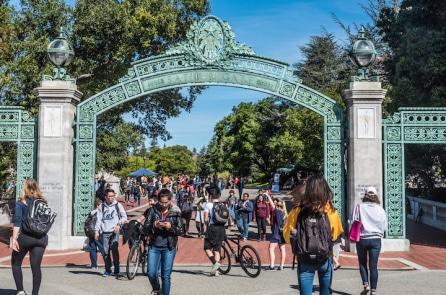 Cựu giáo sư Harvard: Ý thức hệ nguy hiểm đã xâm nhập trường học