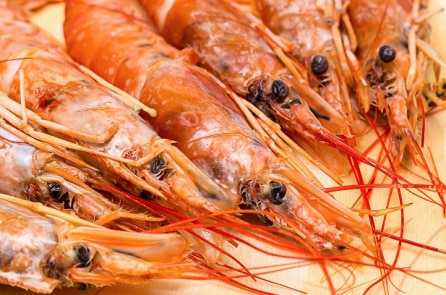 Bạn không nên ăn phần nào của con tôm?