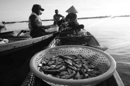 Ly hương ngay trên chính quê hương mình