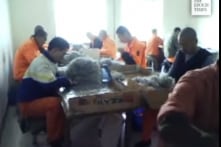 37 tổ chức kêu gọi Mỹ cấm nhập khẩu sản phẩm của lao động nô lệ TQ