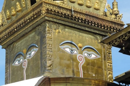 Chúng ta thoát thai từ đâu? Phát hiện sửng sốt từ dãy Himalaya (P1)