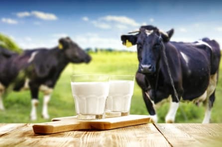 7 thực phẩm ba mẹ không nên cho trẻ dưới 1 tuổi ăn
