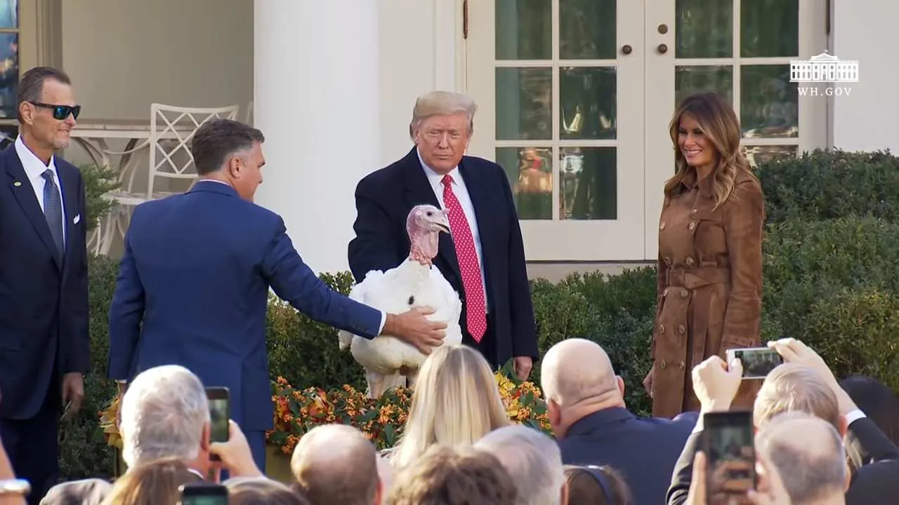 Trump turkey 2