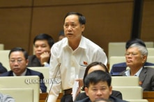 ‘Cần xem lại việc trao danh hiệu gia đình văn hoá vì quá hình thức, lãng phí’